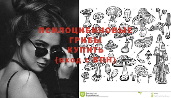 гидропоника Верея