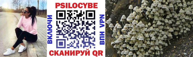 Купить закладки  Нижний Ломов  Галлюциногенные грибы Psilocybe 